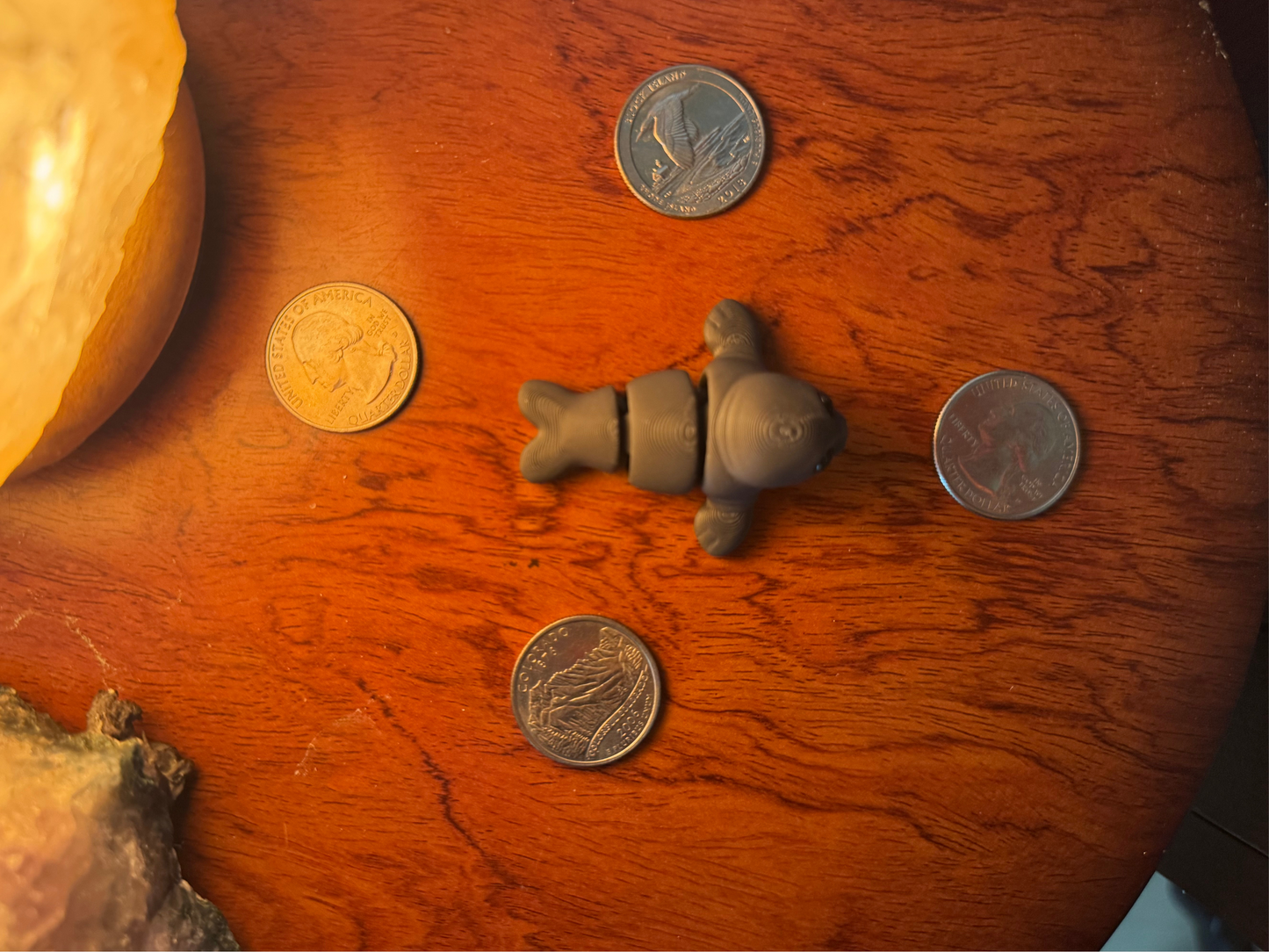 Seal Fidget Toy
