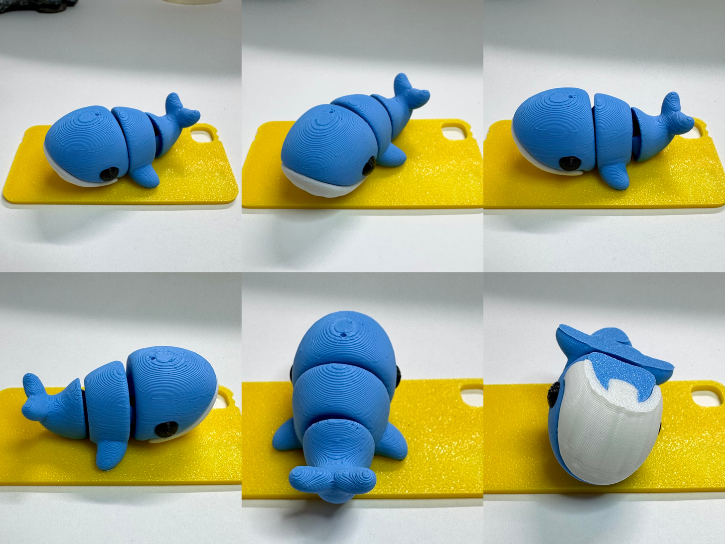 Whale Fidget Toy