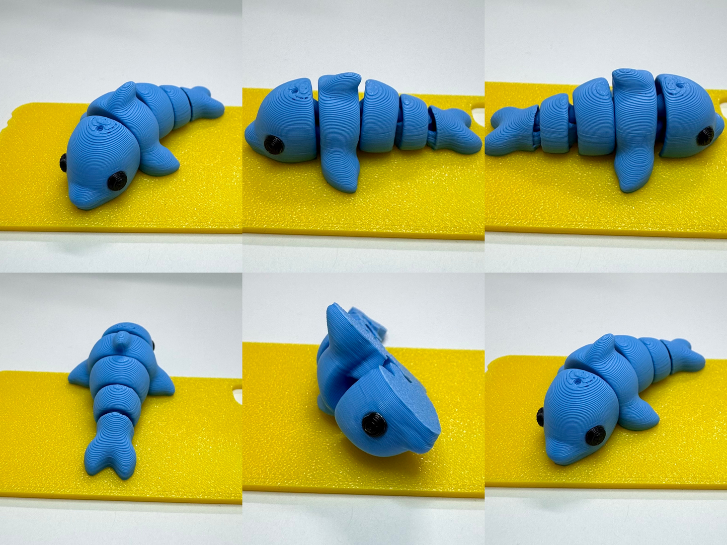 Dolphin Fidget Toy