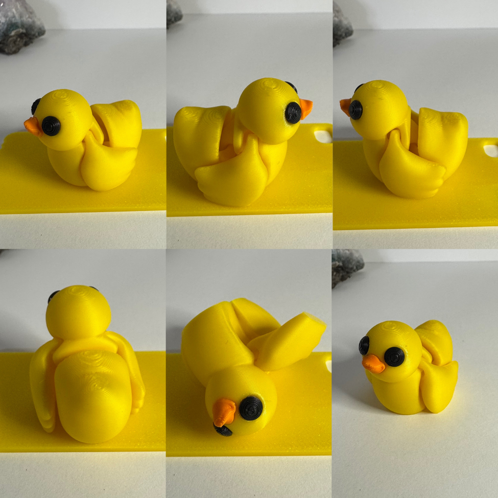Duck Fidget Toy