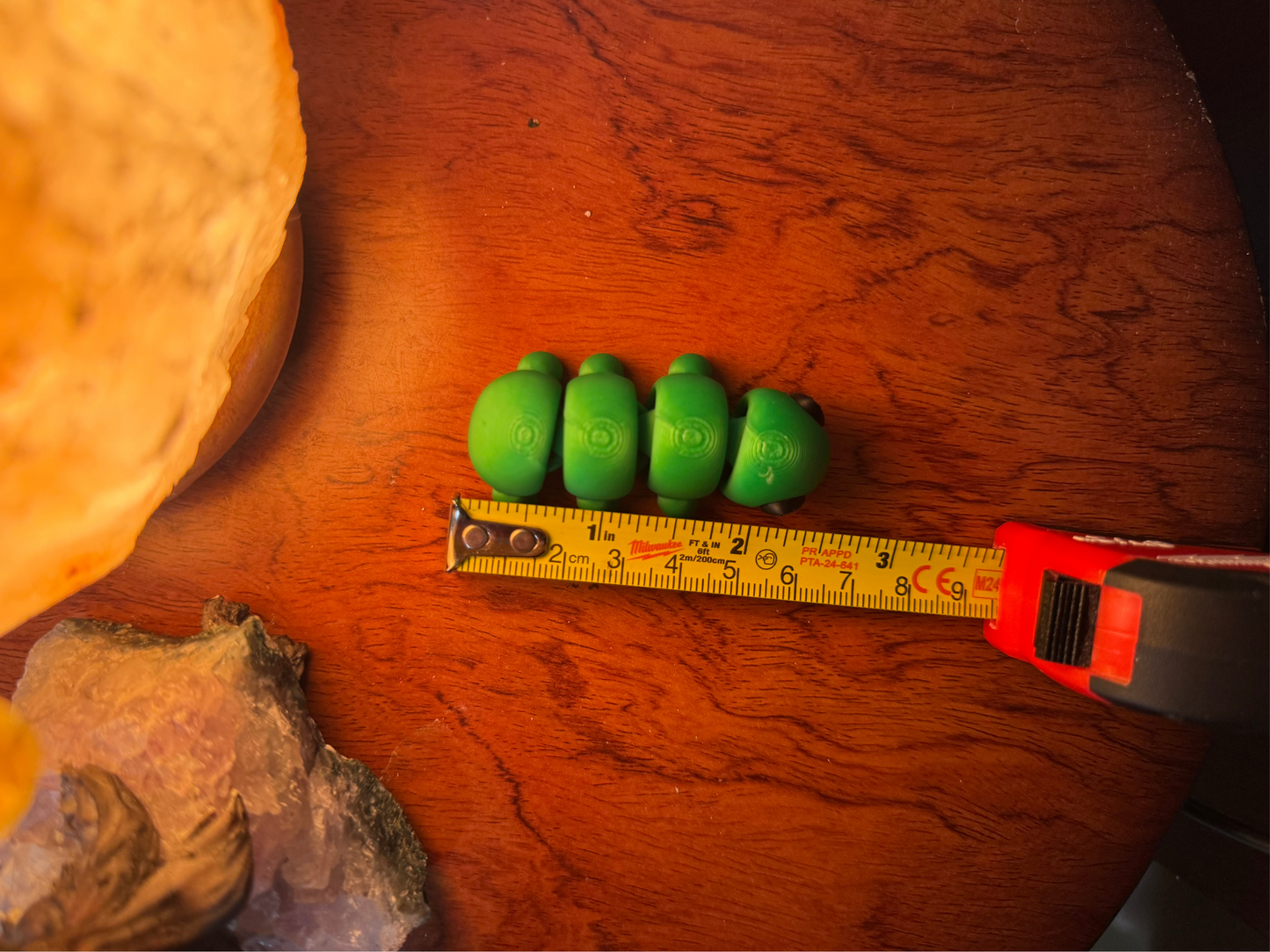 Caterpillar Fidget Toy