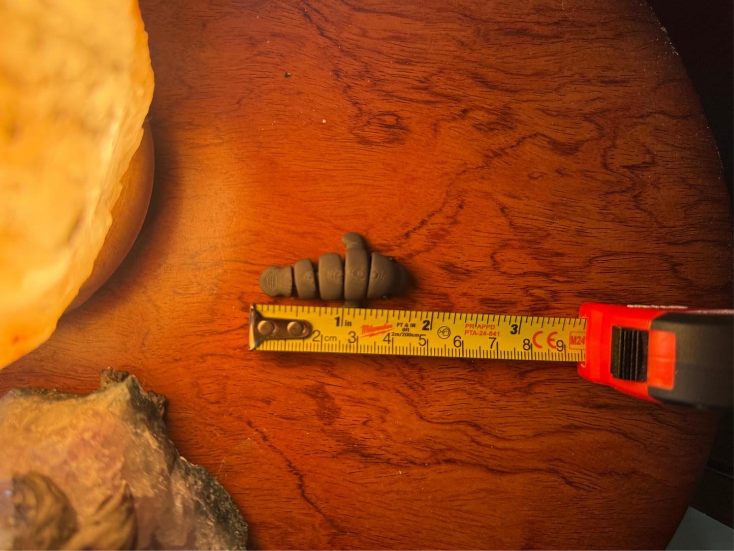 Manatee Fidget Toy