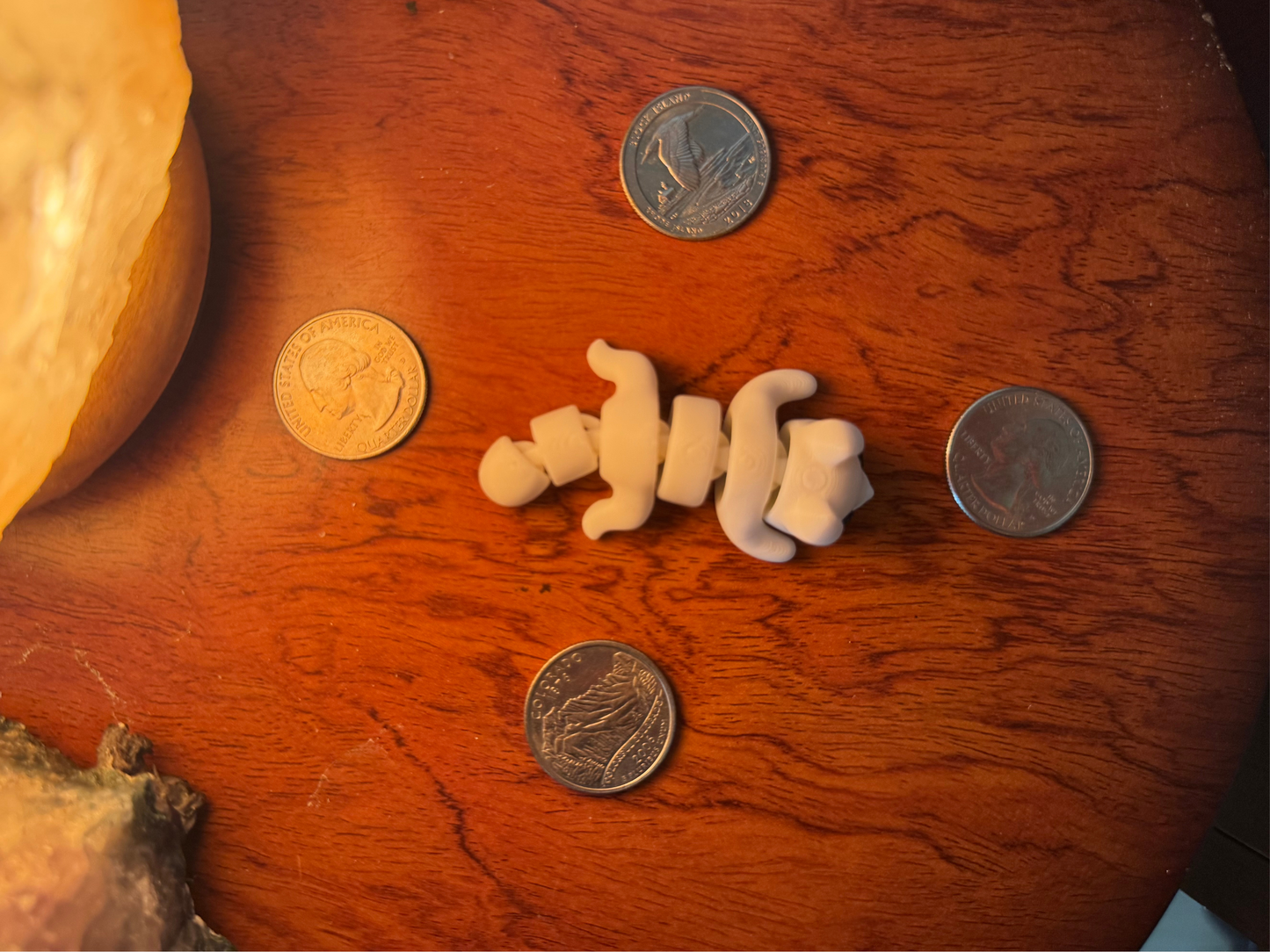 Dog Fidget Toy