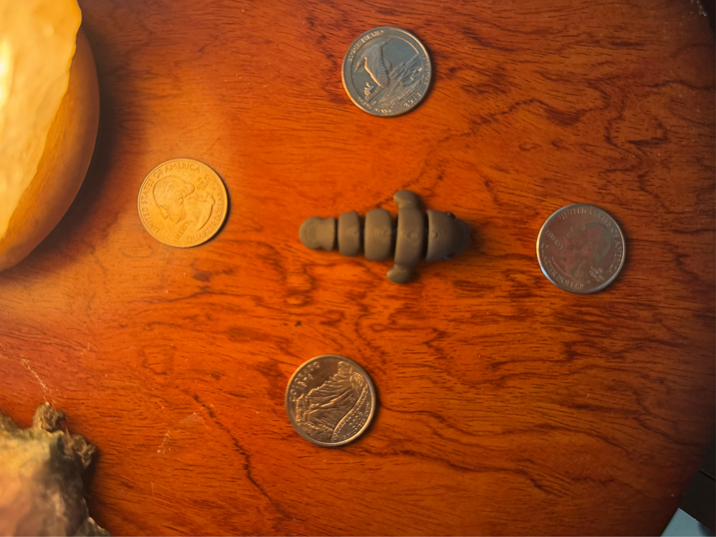 Manatee Fidget Toy