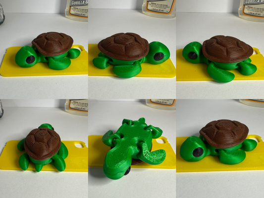 Turtle Fidget Toys