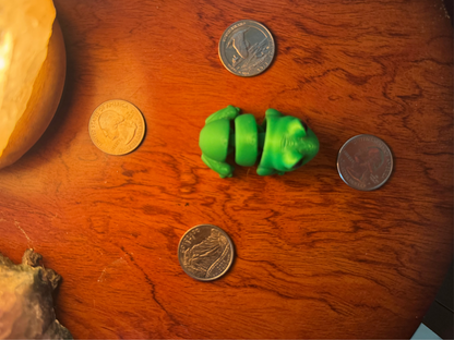 Frog Fidget Toy