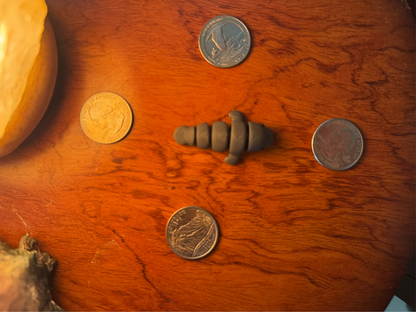 Manatee Fidget Toy